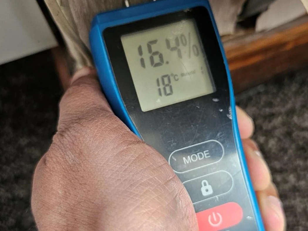 Moisture-meter reading taken to the front ground-floor bay, within a normal range