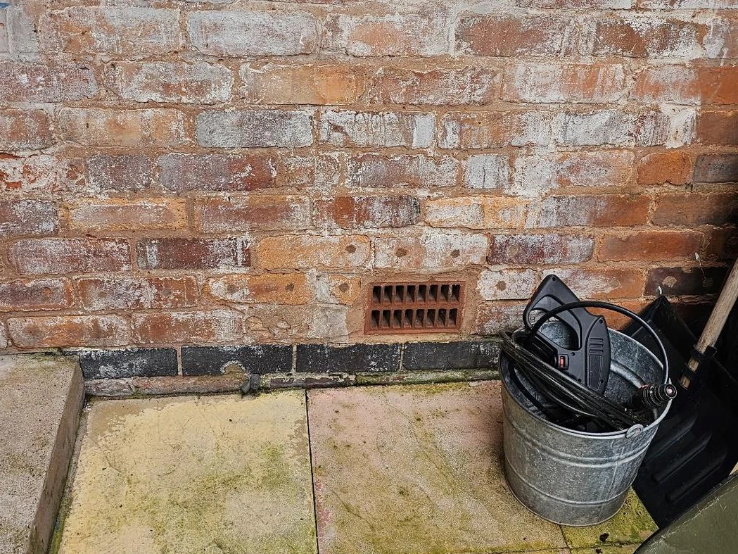 Rear elevation showing the injected damp-proof course points and plugs to the lounge wall